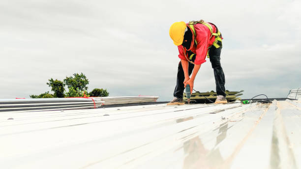 Best Steel Roofing  in Genesee, ID