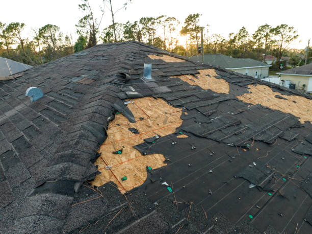 Best Chimney Flashing Repair  in Genesee, ID